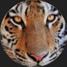 Saye_ade kucing_5ekor