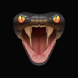 blackmamba
